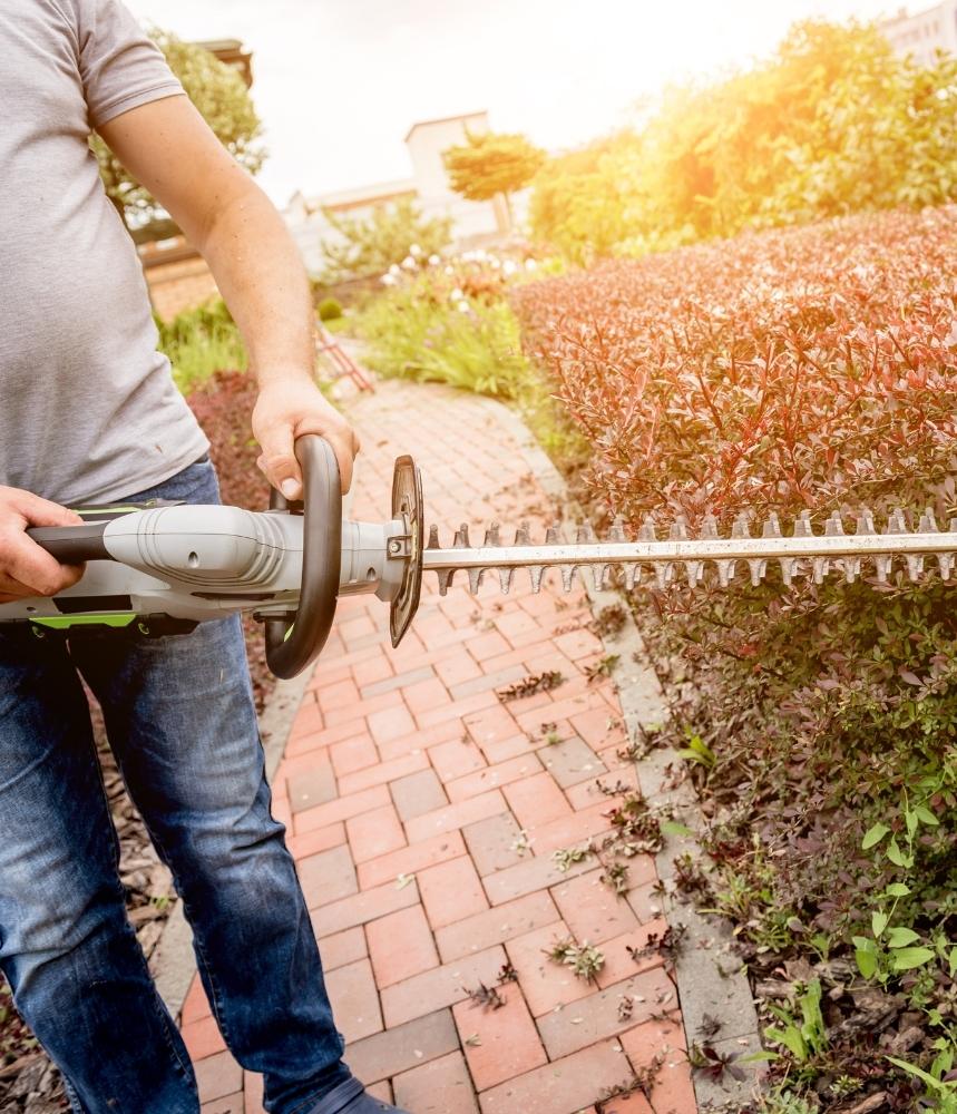 brush trimming services